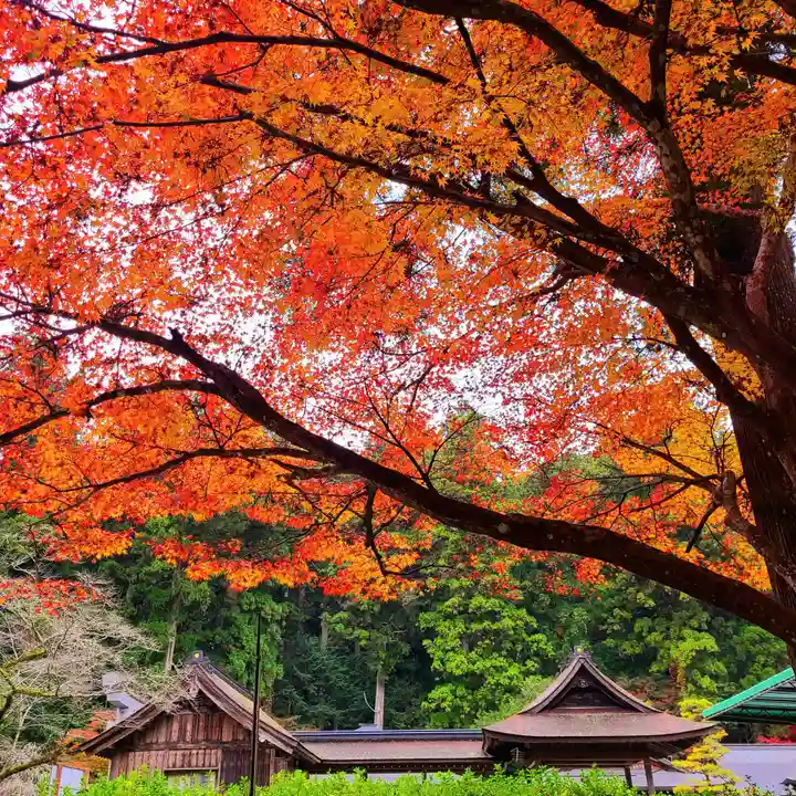 小國神社の自然