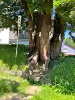 岩木山神社の自然