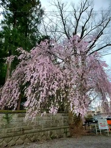 神炊館神社 ⁂奥州須賀川総鎮守⁂の自然