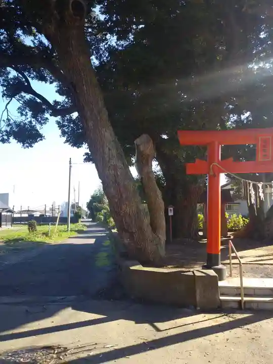 道路衢神(茨城県)