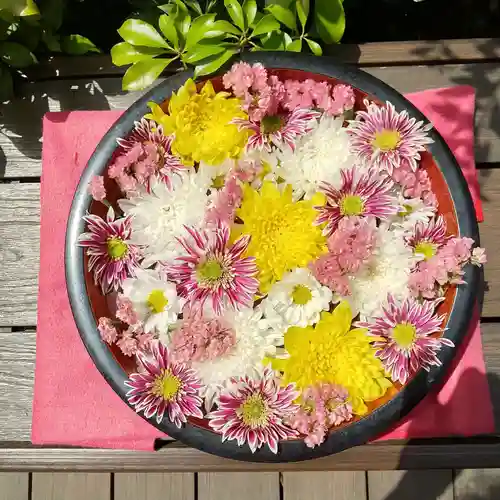 増上寺塔頭 三縁山 宝珠院の手水舎