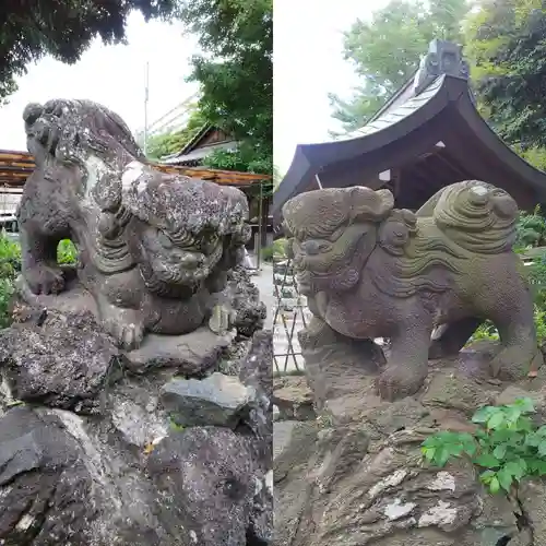 菊田神社の狛犬