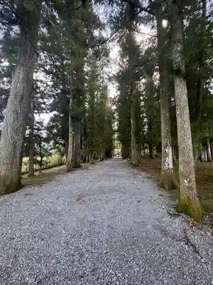 大斎原（熊野本宮大社旧社地）(和歌山県)