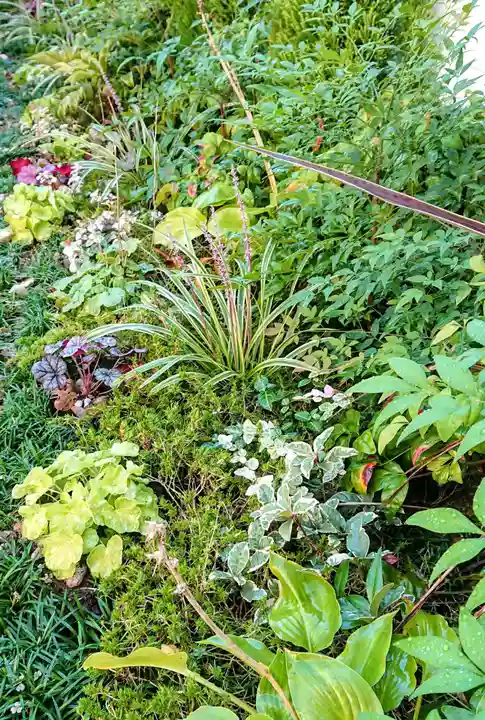 寿量山 速成寺の自然