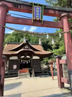 白鬚神社(滋賀県)