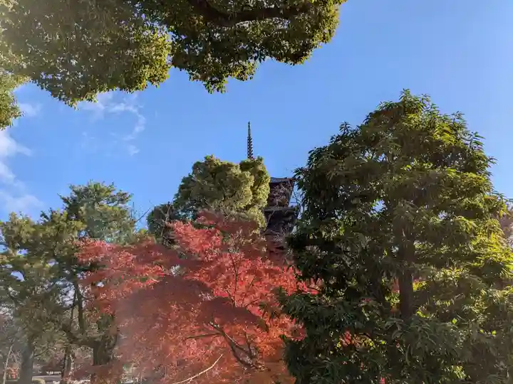 東寺(教王護国寺)(京都府)