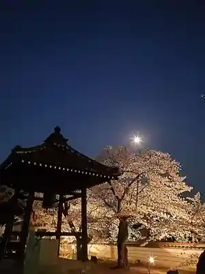 如宝寺(福島県)