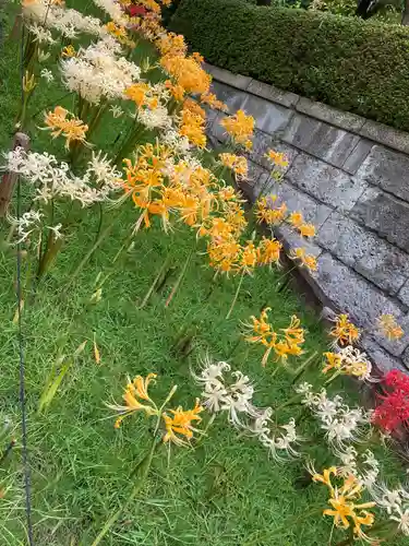 横浜　西方寺の庭園