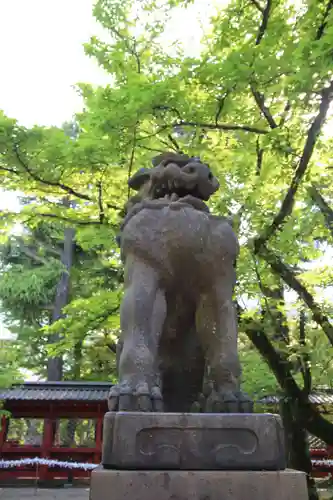 根津神社の狛犬