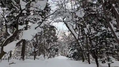 鷹栖神社の庭園