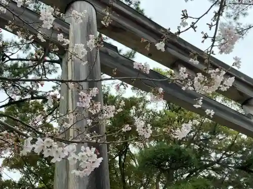 寒川神社の{uncategorized: "未分類", other: "その他", undefined: "問題あり", building: "その他建物", grave: "お墓", sacred_gate: "鳥居", guardian: "狛犬", statue: "像", buddha: "仏像", history: "歴史", nature: "自然", garden: "庭園", animal: "動物", pagoda: "塔", temizu: "手水舎", mountain_gate: "山門・神門", sanctuary: "本殿・本堂", subordinate: "末社・摂社", art: "芸術", scenery: "景色", jizo: "地蔵", ema: "絵馬", goshuin: "御朱印", omikuji: "おみくじ", items: "授与品その他", amulet: "お守り", goshuincho: "御朱印帳", eats: "食事", festival: "お祭り", votive_dance: "神楽", shichigosan: "七五三参", wedding: "結婚式", experience: "体験その他", initially: "初詣", around: "周辺", anti_infection: "感染症対策"}