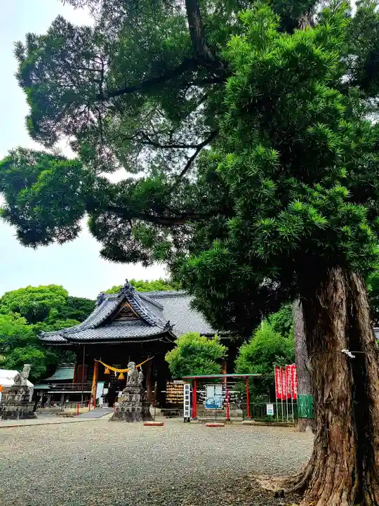 牟呂八幡宮(愛知県)