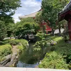 浅草寺(東京都)