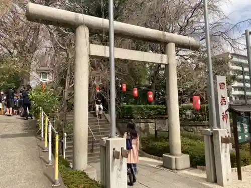 田無神社の鳥居