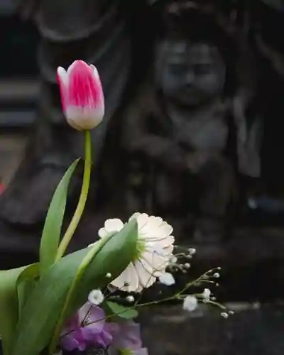 金龍寺(群馬県)