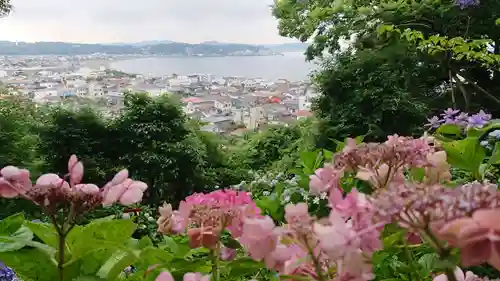 長谷寺の景色