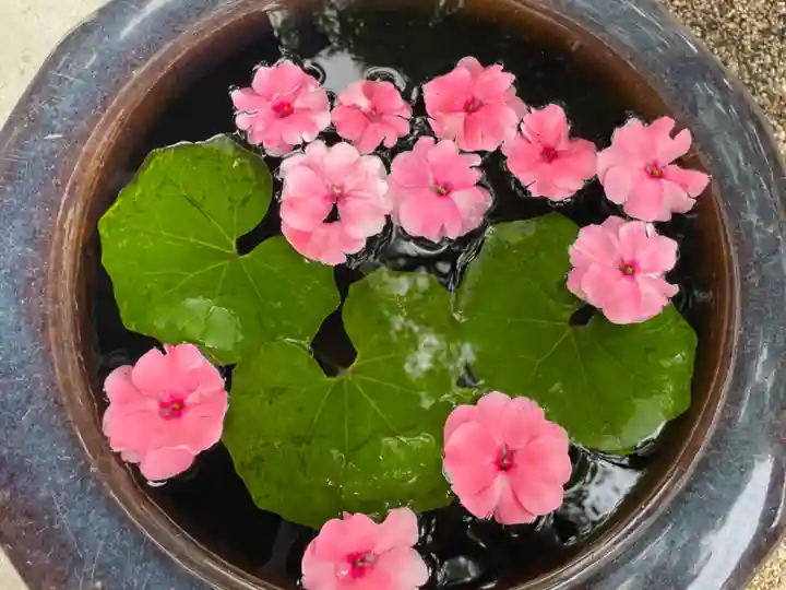 神館神社の手水舎