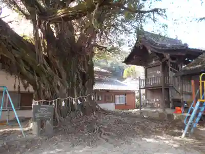 永目神社の自然