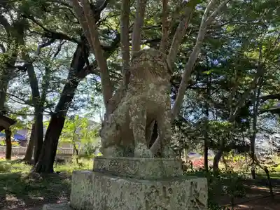 葦稲葉神社(徳島県)