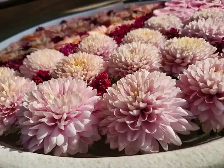 法輪寺(東京都)