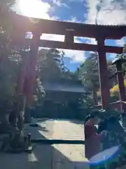 北口本宮冨士浅間神社の鳥居