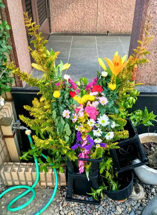 成就院の{uncategorized: "未分類", other: "その他", undefined: "問題あり", building: "その他建物", grave: "お墓", sacred_gate: "鳥居", guardian: "狛犬", statue: "像", buddha: "仏像", history: "歴史", nature: "自然", garden: "庭園", animal: "動物", pagoda: "塔", temizu: "手水舎", mountain_gate: "山門・神門", sanctuary: "本殿・本堂", subordinate: "末社・摂社", art: "芸術", scenery: "景色", jizo: "地蔵", ema: "絵馬", goshuin: "御朱印", omikuji: "おみくじ", items: "授与品その他", amulet: "お守り", goshuincho: "御朱印帳", eats: "食事", festival: "お祭り", votive_dance: "神楽", shichigosan: "七五三参", wedding: "結婚式", experience: "体験その他", initially: "初詣", around: "周辺", anti_infection: "感染症対策"}