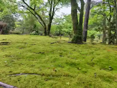 宝厳院(京都府)