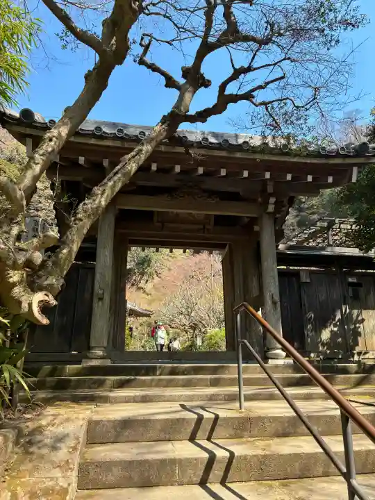 黄梅院(円覚寺塔頭)の{uncategorized: "未分類", other: "その他", undefined: "問題あり", building: "その他建物", grave: "お墓", sacred_gate: "鳥居", guardian: "狛犬", statue: "像", buddha: "仏像", history: "歴史", nature: "自然", garden: "庭園", animal: "動物", pagoda: "塔", temizu: "手水舎", mountain_gate: "山門・神門", sanctuary: "本殿・本堂", subordinate: "末社・摂社", art: "芸術", scenery: "景色", jizo: "地蔵", ema: "絵馬", goshuin: "御朱印", omikuji: "おみくじ", items: "授与品その他", amulet: "お守り", goshuincho: "御朱印帳", eats: "食事", festival: "お祭り", votive_dance: "神楽", shichigosan: "七五三参", wedding: "結婚式", experience: "体験その他", initially: "初詣", around: "周辺", anti_infection: "感染症対策"}