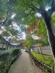 南湖神社の建物その他