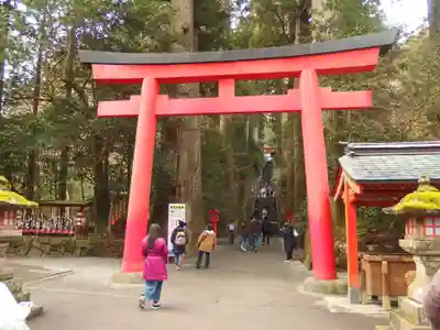 箱根神社(神奈川県)