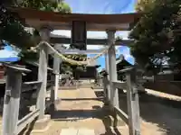 新井宿 子日神社(埼玉県)