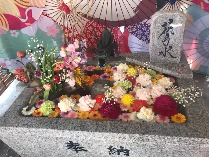 札幌諏訪神社の手水舎