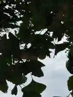 善勝寺(愛知県)