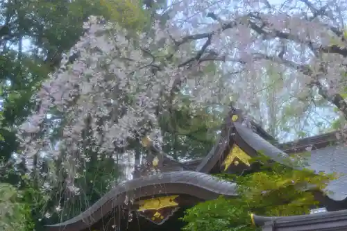 子安神社(東京都)