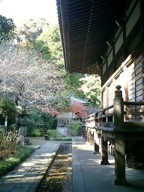 安國論寺(安国論寺)の庭園