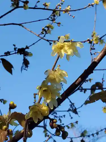 沙沙貴神社(滋賀県)