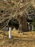 鏡山湯泉神社(栃木県)