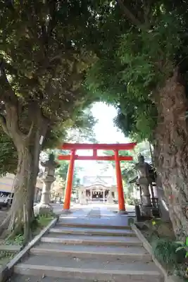 天沼八幡神社の鳥居