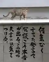 専念寺(大阪府)