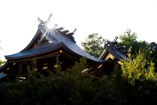 鷲宮神社の本殿・本堂