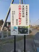 神明宮 (芋森神社)(栃木県)