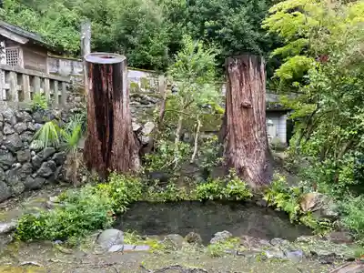 藏寳寺（蔵宝寺）の自然