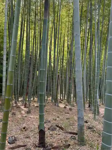 英勝寺(神奈川県)