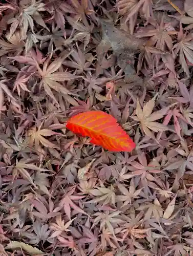 蚊里田八幡宮(長野県)