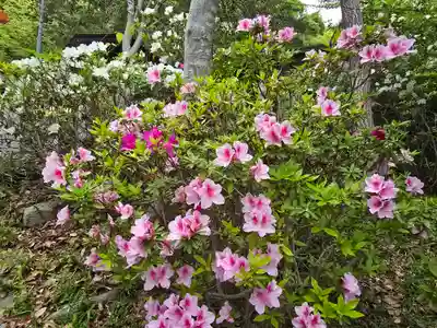 池之原神社(大阪府)