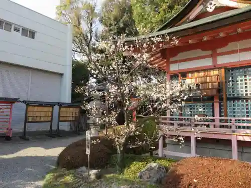 西院春日神社の自然