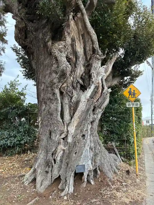 子安神社(千葉県)
