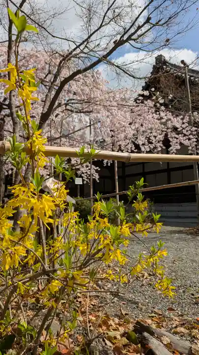 水無瀬神宮(大阪府)