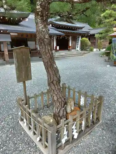 小國神社の自然