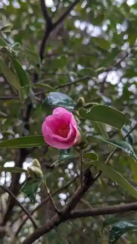 長岡天満宮(京都府)